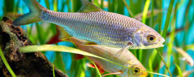 ��ˮ�����������