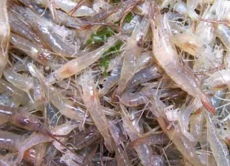 ̫��1����Ϻ��۸�