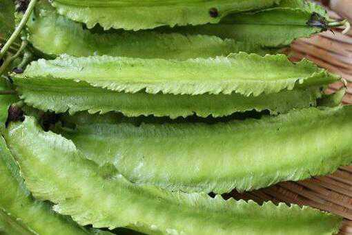 ���ⶹ��ֲ