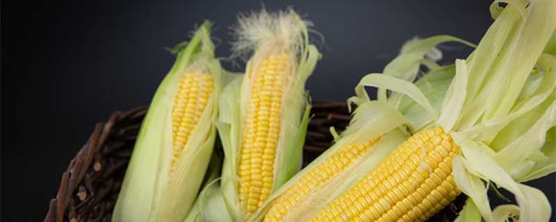 玉米须怎么晒干?