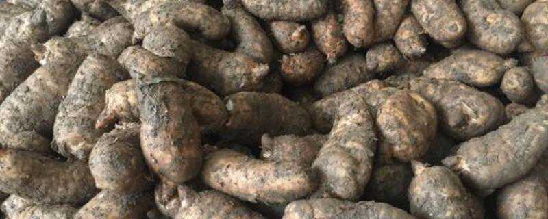 ���鷢ù�˻��ܳ���