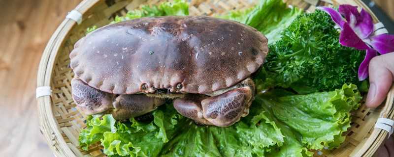 白蟹和梭子蟹的区别