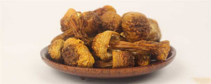 姬松茸怎么泡发