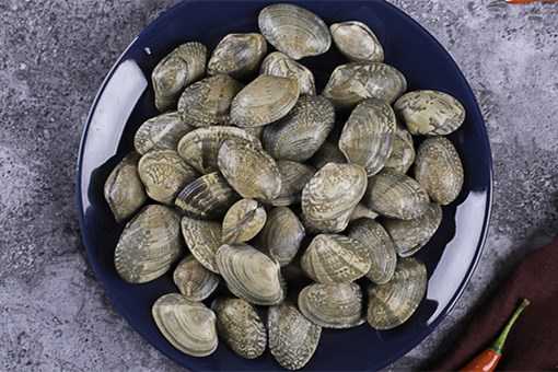 蛤蜊怎么去泥沙?
