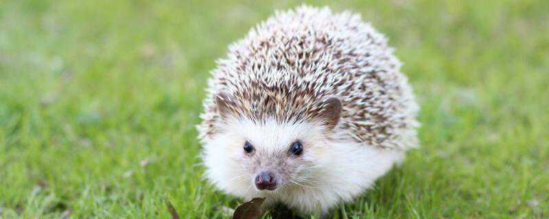 �����������ܳ����