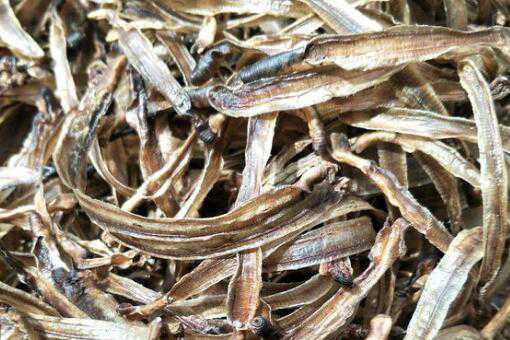 ������ʲô