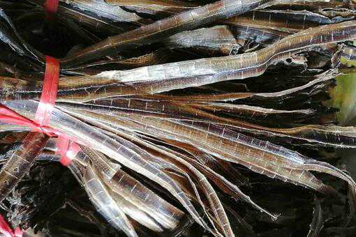 ������Ч������