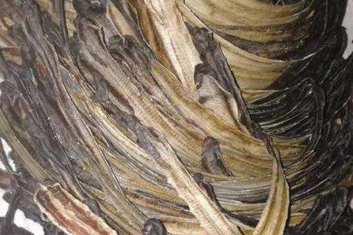 �����۸����Ǯһ��