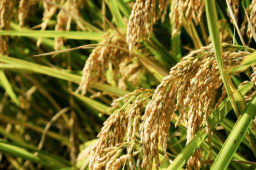 ����ˮ������Ǯһ��