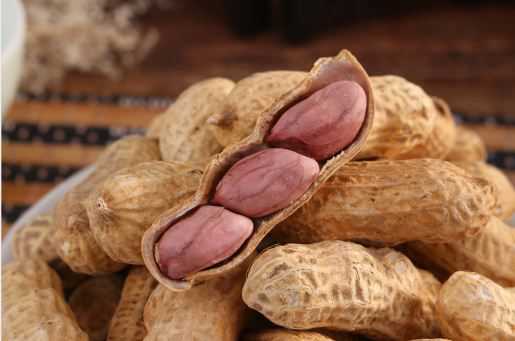 花生的别名叫什么