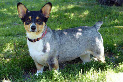 ���ܻ������