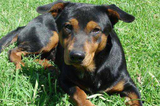 ��ʲô����