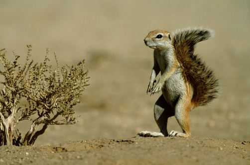 �����β����ʲô����