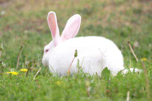 2020������׬Ǯ��