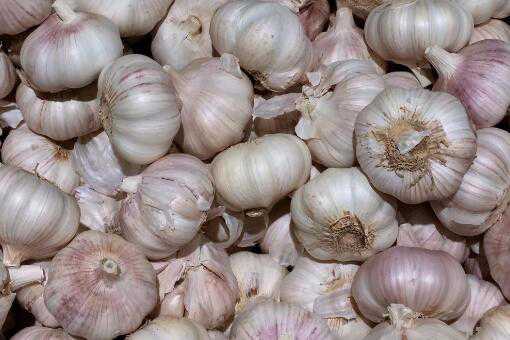 �������¼۸����Ǯһ��