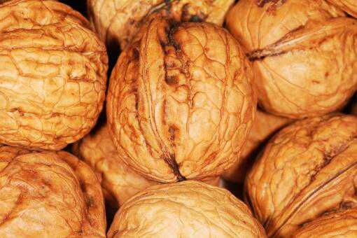 核桃什么时候成熟