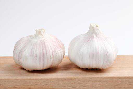 现在大蒜多少钱一斤