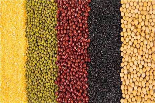 2020����ֲʲôũ����׬Ǯ