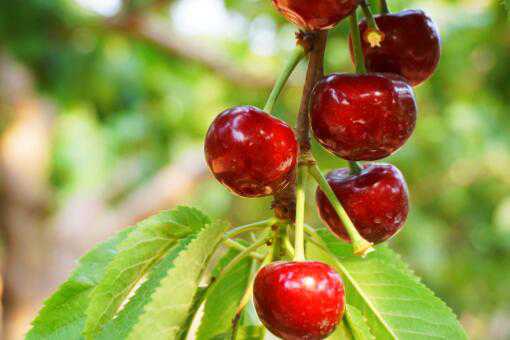 10Ķӣ׬Ǯ