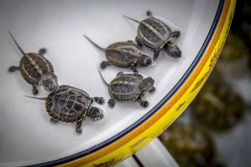 ��ʲô��Ƚ�׬Ǯ