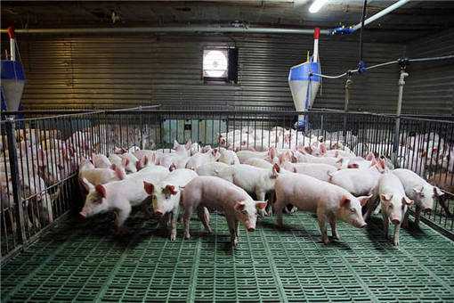 С�ɱ��ڼ���ֳ������ʲô