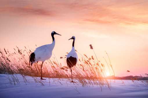 ������ֳ���ܼ�������