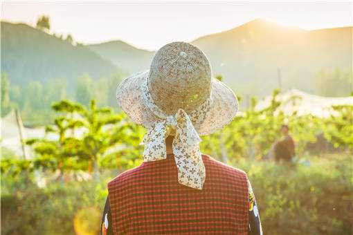 ��ɫ��ҵ��δٽ�ũ������