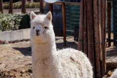 �����շ�������ô�������ղ��¿�ˮ��