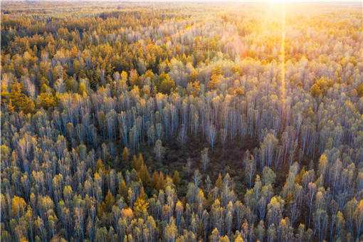 ����԰����