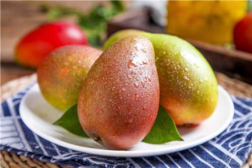 â����ʳ�ý���