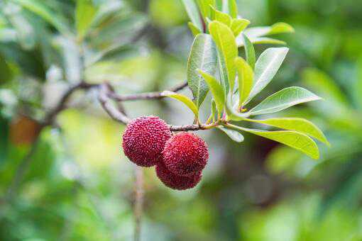 ��÷��ô���治�ỵ