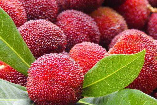 ��÷���г�����