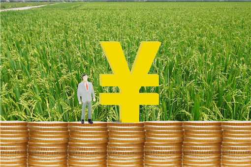 农村信用社创业贷款有什么要求