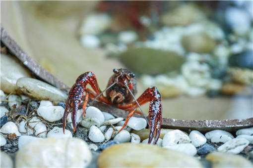 ��ֳС��Ϻ�����취