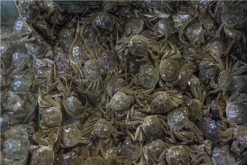 �ļ���з��ֳ�е�ˮ�ʹ�������