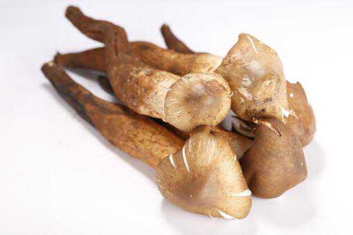 ���Ӳ��ܺ�ʲôһ���