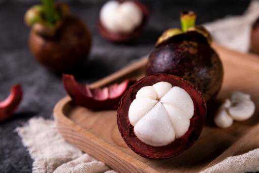 ɽ��ʳ�ý���