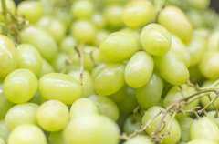 ��ֲ����õ��׬Ǯ����Щ�����ʺ����ࣿ��Ķ�����òο�