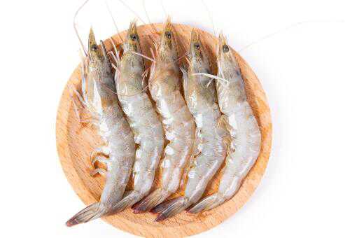 ����Ϻ���ڻ��ܳ���