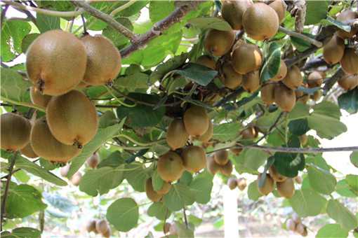 ⨺��Ҳ��ܺ�ʲôһ���