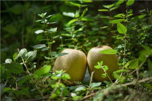 ⨺��ҵĹ�Ч��������ʲô