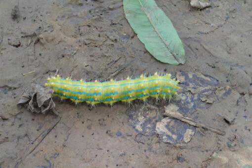 ��������������Ч�ķ���