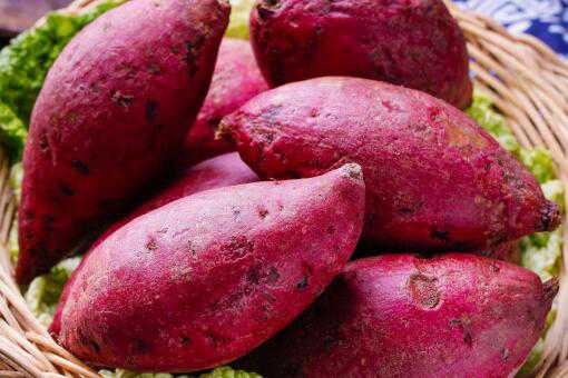 �����Ĺ�Ч������