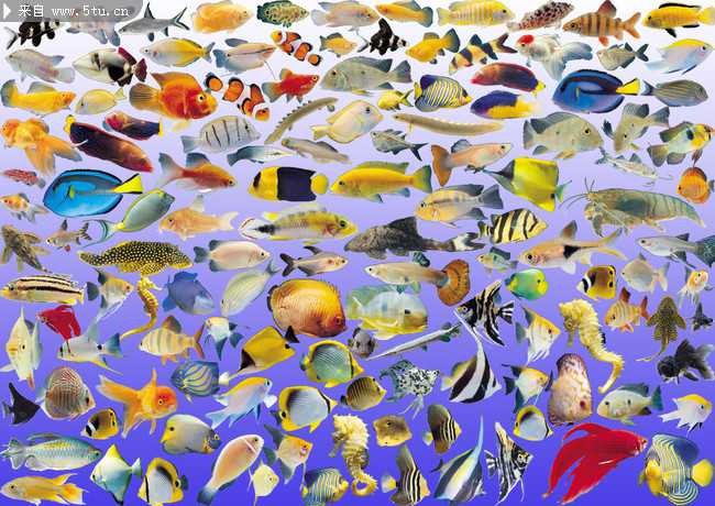 æ�̡�����¼å¾ç��