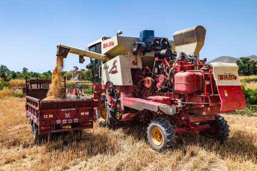 ��Ӫũ������