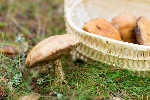 ţ�ξ�һ�����Ǯ