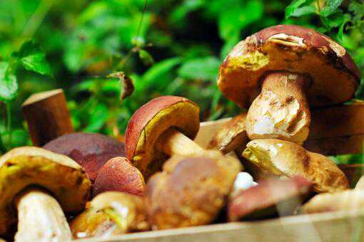 ���ʺ�ţ�ξ���ôȥ��