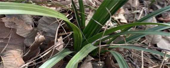 ����-����