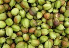 �Ͷ���ʲô�������ֲ������