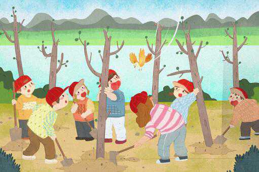 ֲ��������ͼ��